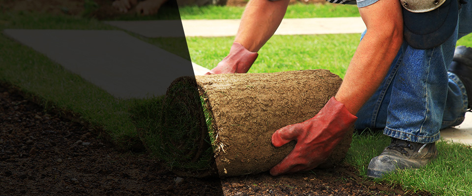 Tolleson Landscapers